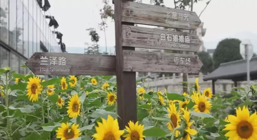 浙江紹興柯橋區(qū)漓渚鎮(zhèn)“花香漓渚”田園綜合體
