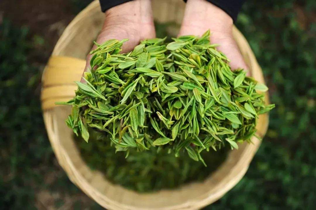 貴州某公司現(xiàn)代農(nóng)產(chǎn)品交易中心建設(shè)項目