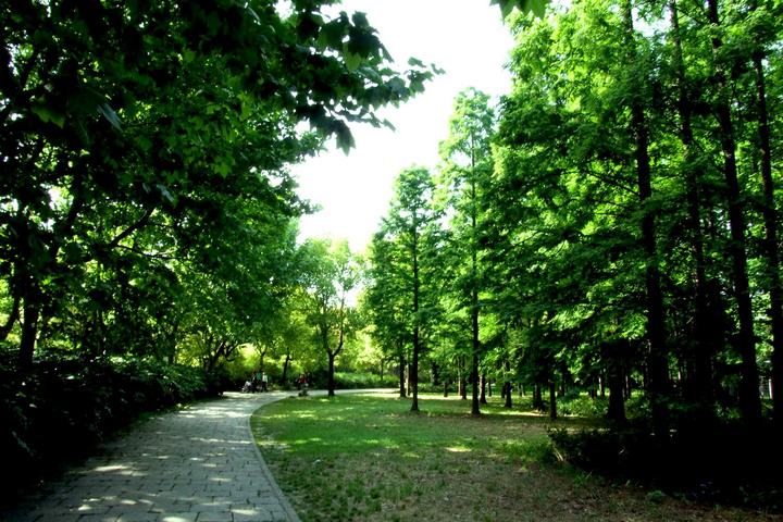 華欣泰咨詢：大容山森林公園修繕工程項目申請報告
