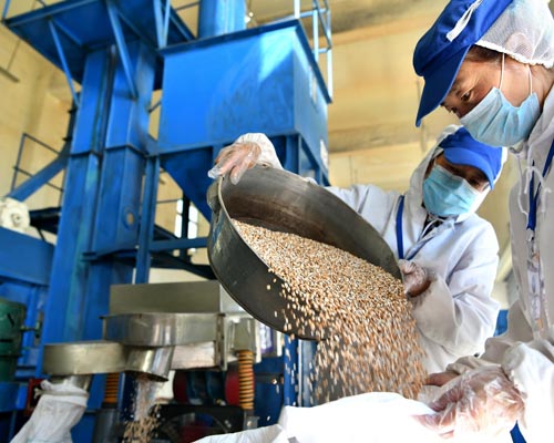 華欣泰咨詢：某新屋經(jīng)濟合作社農(nóng)產(chǎn)品深加工產(chǎn)業(yè)園可研報告