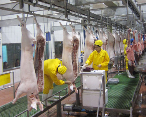 華欣泰咨詢：某禽類屠宰加工項目可行性研究報告