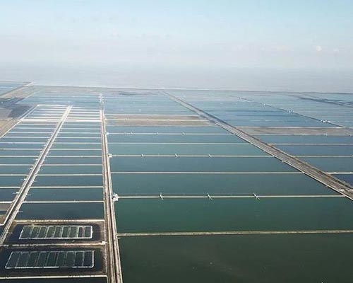 華欣泰咨詢：某現(xiàn)代海洋種業(yè)產(chǎn)業(yè)園項目可行性研究報告
