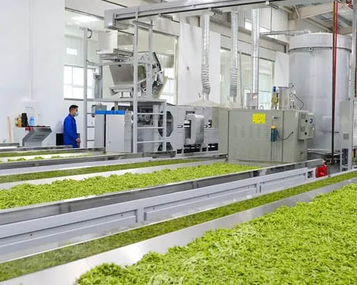 華欣泰咨詢：某茶葉加工場新建加工項目可行性研究報告
