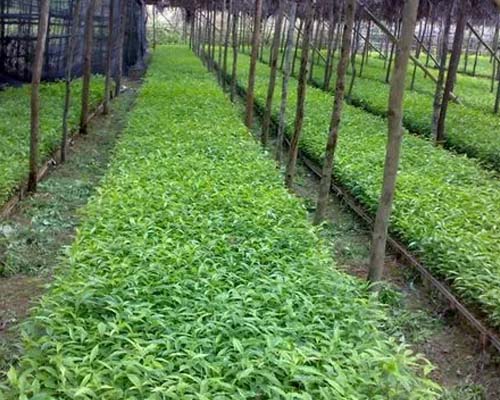 華欣泰咨詢：年產500萬個塑料瓶、3000萬支塑料軟管建設項目可研報告