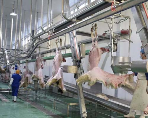 華欣泰咨詢：某年屠宰加工5200萬羽禽類生產線建設項目可研報告
