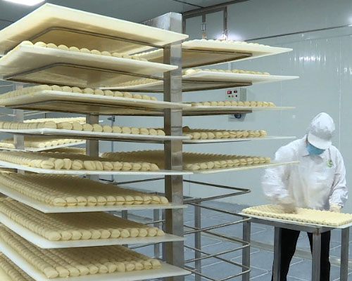 華欣泰咨詢：某食品有限公司豆制品加工項(xiàng)目可研報(bào)告