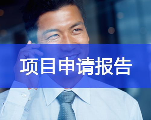 項目申請報告簡介