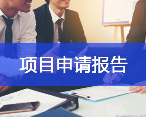 項目申請報告概述