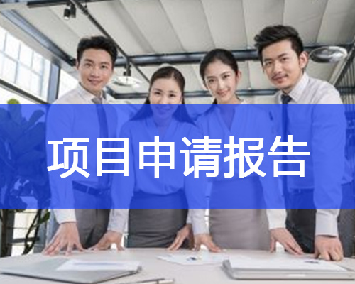 項目備案申請報告格式要求