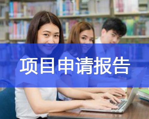 項目核準(zhǔn)申請報告